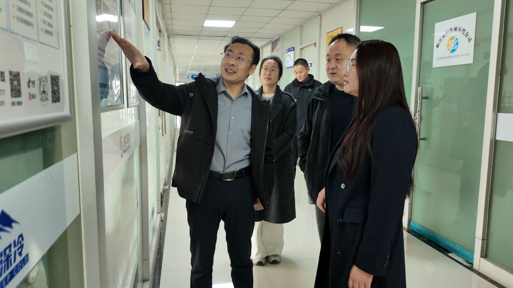 介绍公司的发展历程