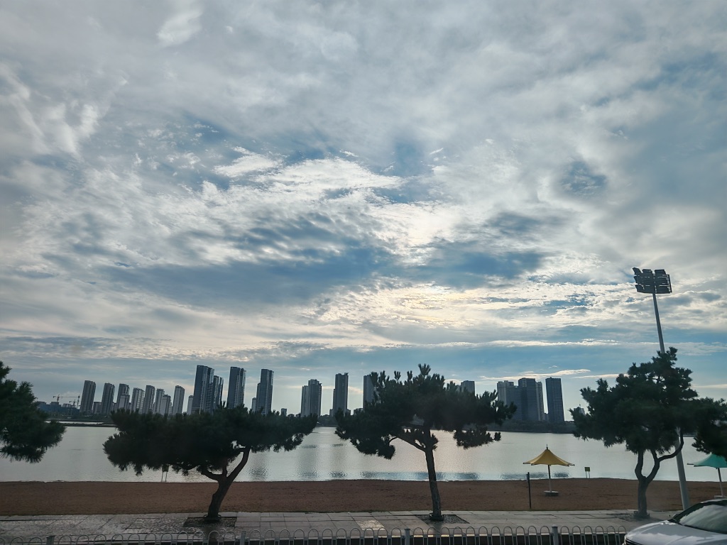 沂河美景