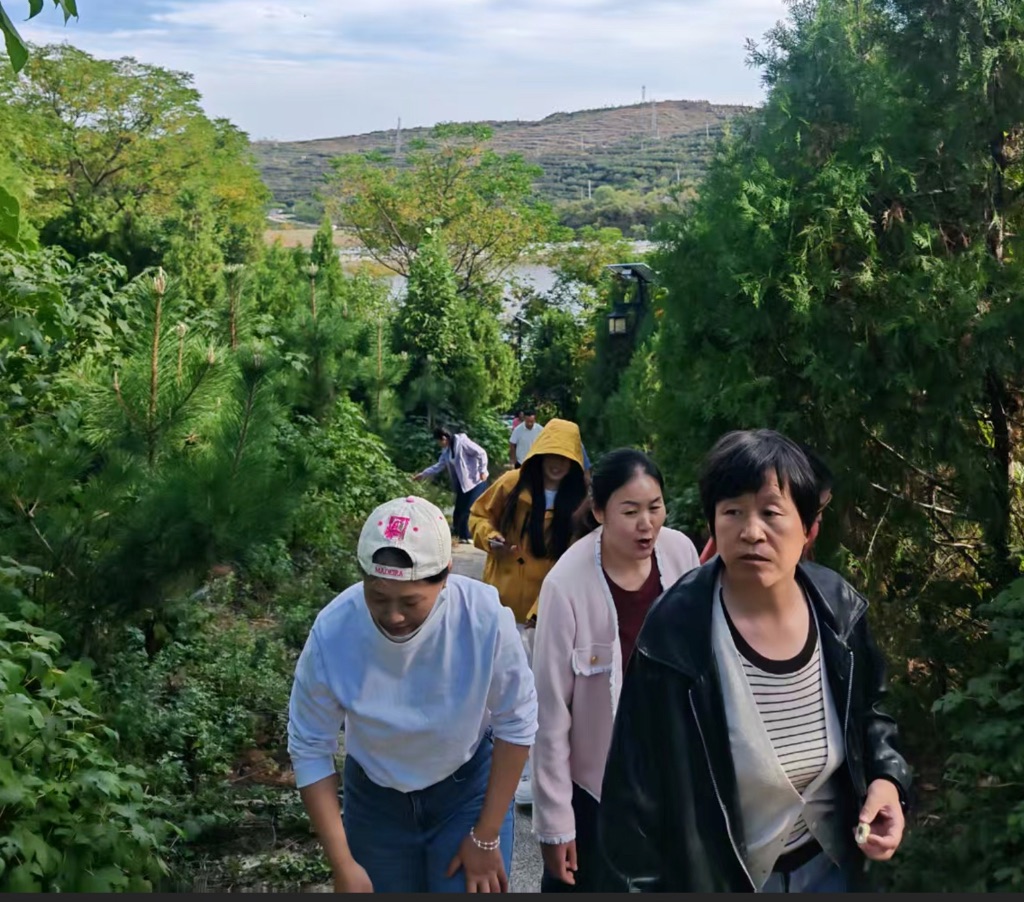 去茶园参观